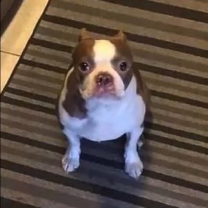 Meet your Posher, Elizabeth